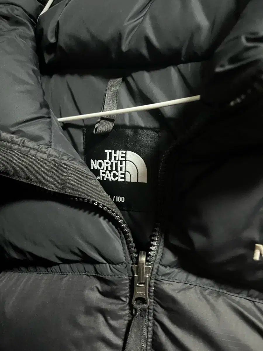 THE NORTH FACE 1996 NUPTSE エコー Lサイズ