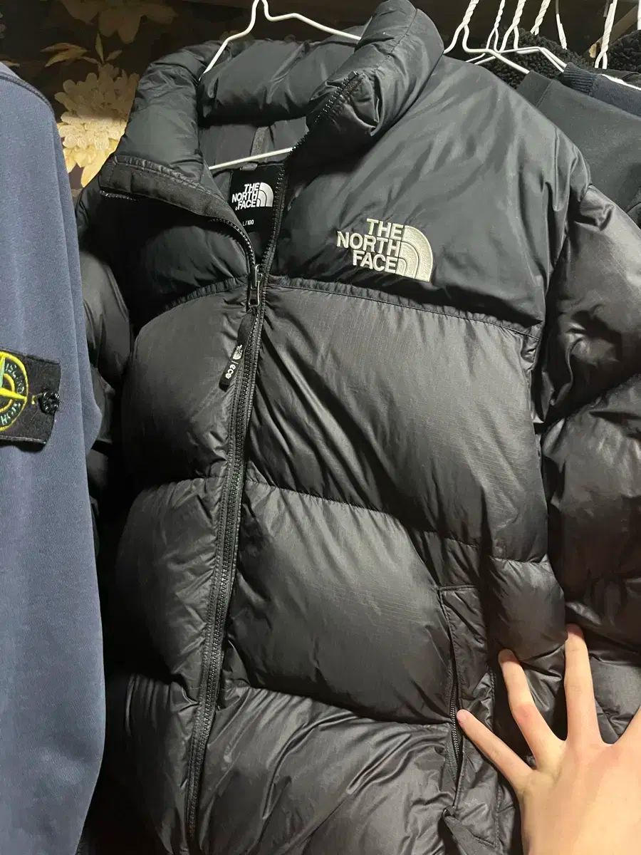 THE NORTH FACE 1996 NUPTSE エコー Lサイズ