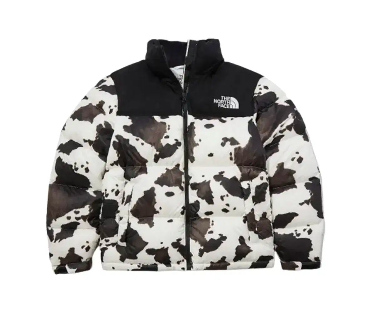 XL THE NORTH FACE ザノースフェイス ヌプシ ダウン ジャケット 얼룩 nj1dl50m