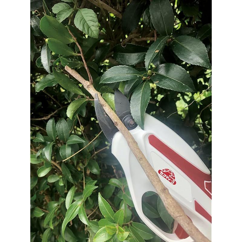 充電式剪定バサミ