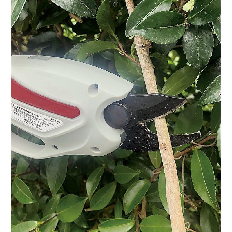 庭木の剪定 最大切断径10mm