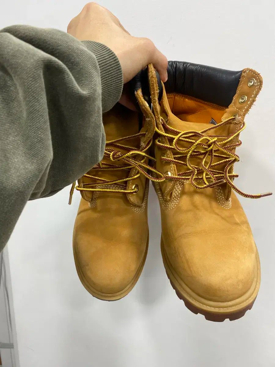 7 w 245 Timberland 6ホール ウィメンズ ウォーカーブーツ