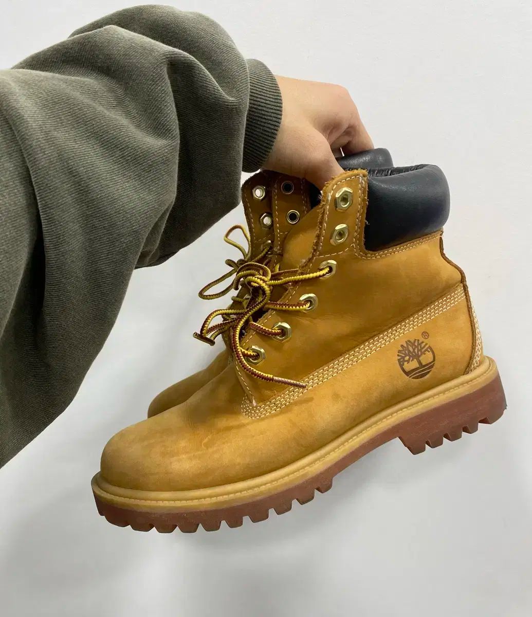 7 w 245 Timberland 6ホール ウィメンズ ウォーカーブーツ