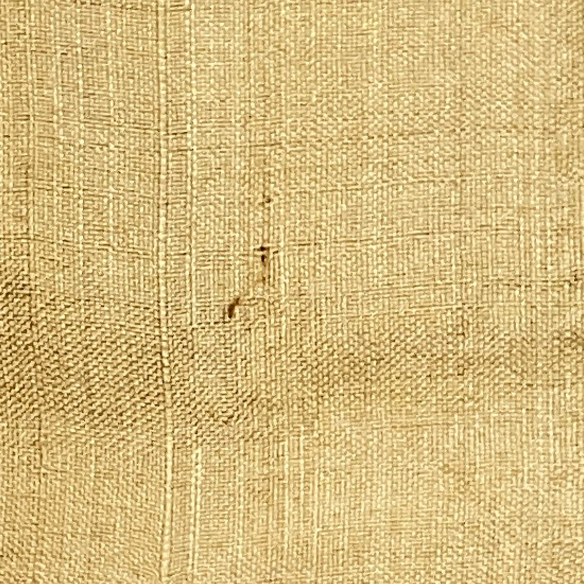 美品】 紬 身丈162.5cm 裄丈67.5cm L 袷 野蚕糸 ベージュ 正絹 逸品 一