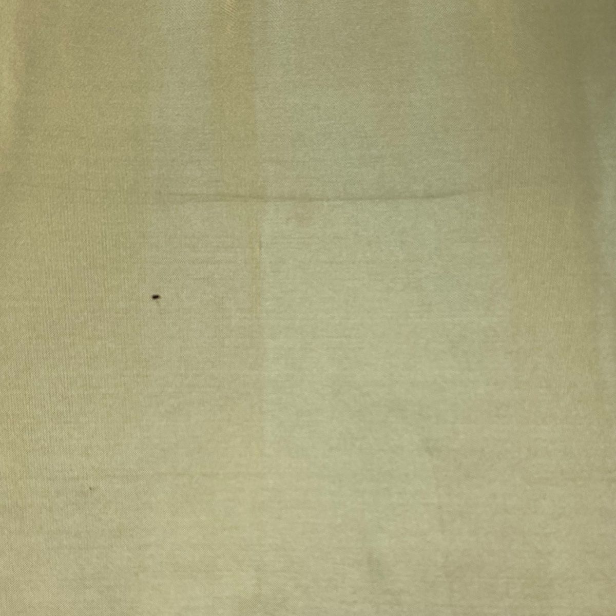  袋帯 秀品 落款 本家加納 華文 鳥 箔 茶緑色 六通 正絹 袋帯 帯