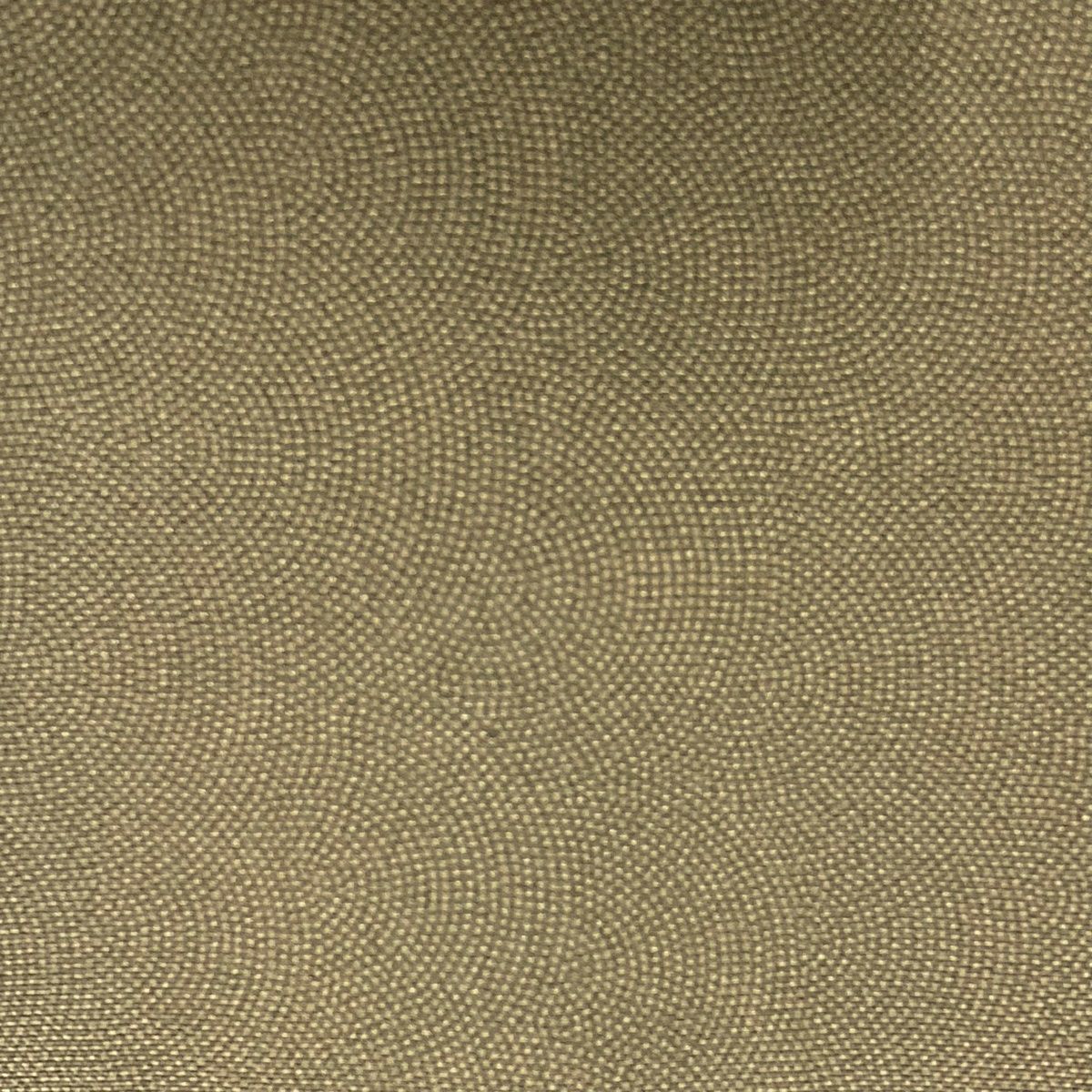  江戸小紋 身丈156 5 cm 裄丈62 S 袷 落款 鮫 茶緑色 正絹 小紋 着物