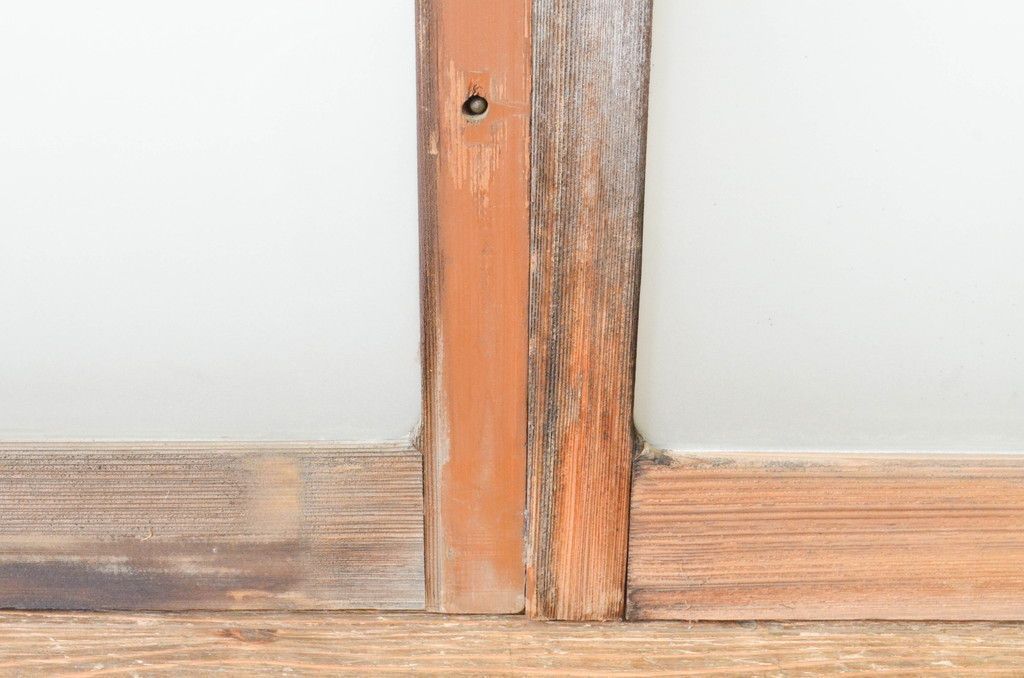 4～7営業日前後で発送