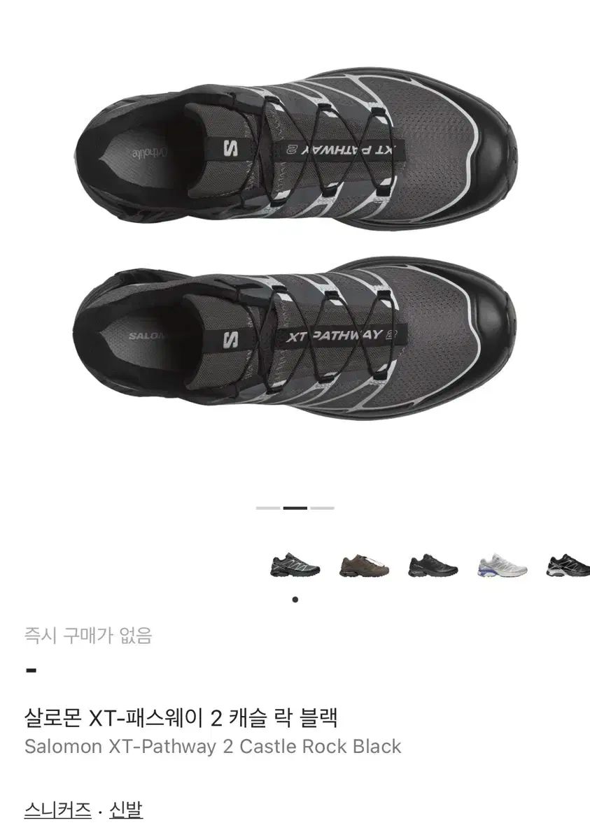 サロモン XT-パスウェイ2 キャッスルロック 275