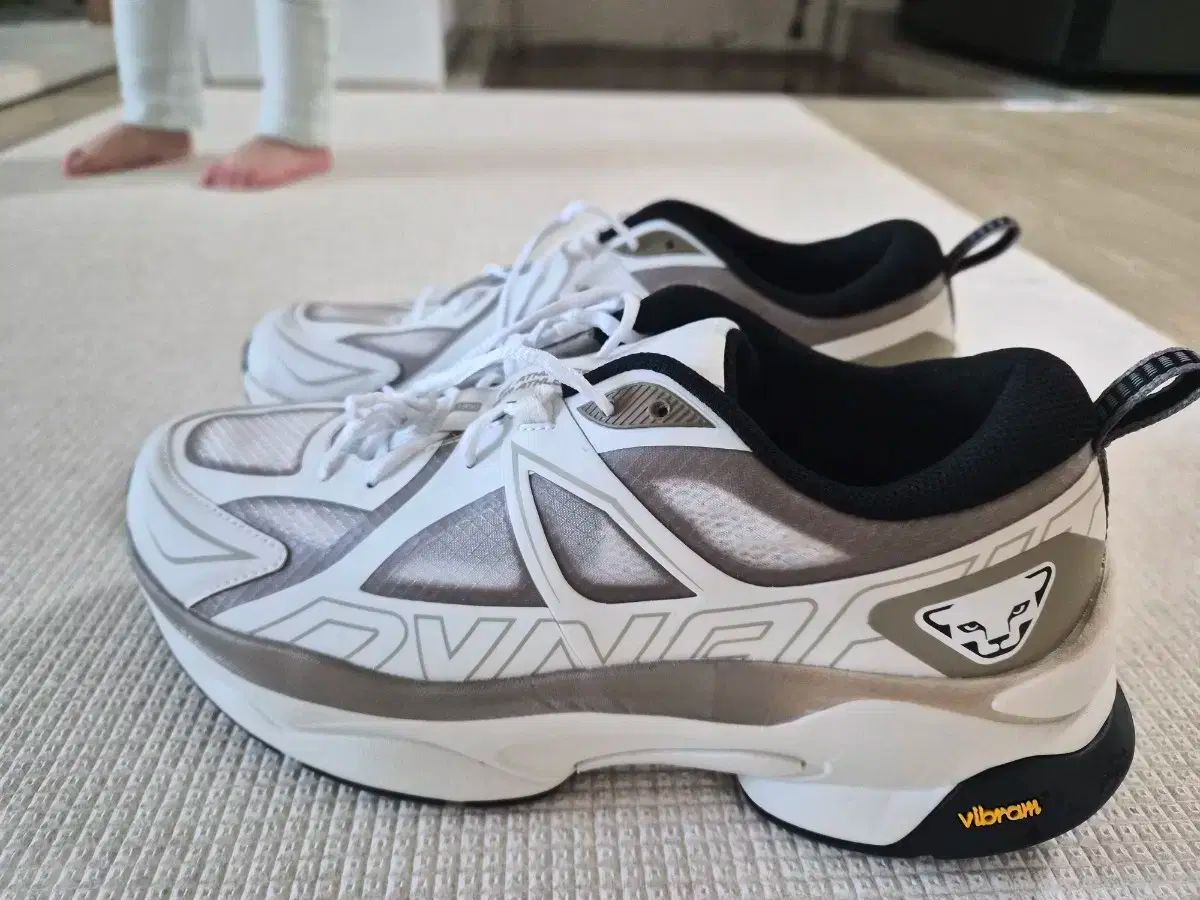 ディナフィット スニーカー 白 グレー