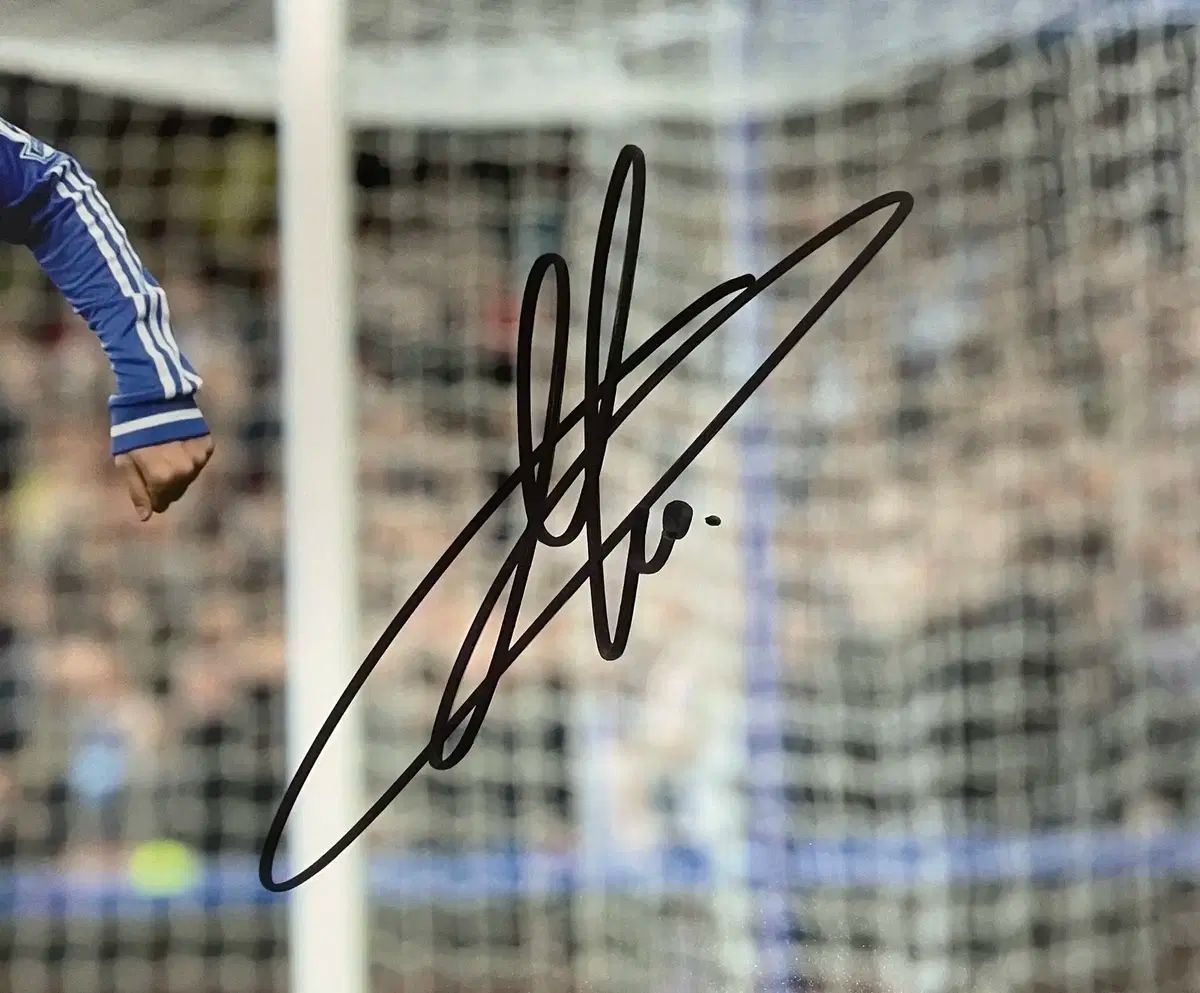 EM 販売 エデ ン アザール サイン入り サイン PHOTO