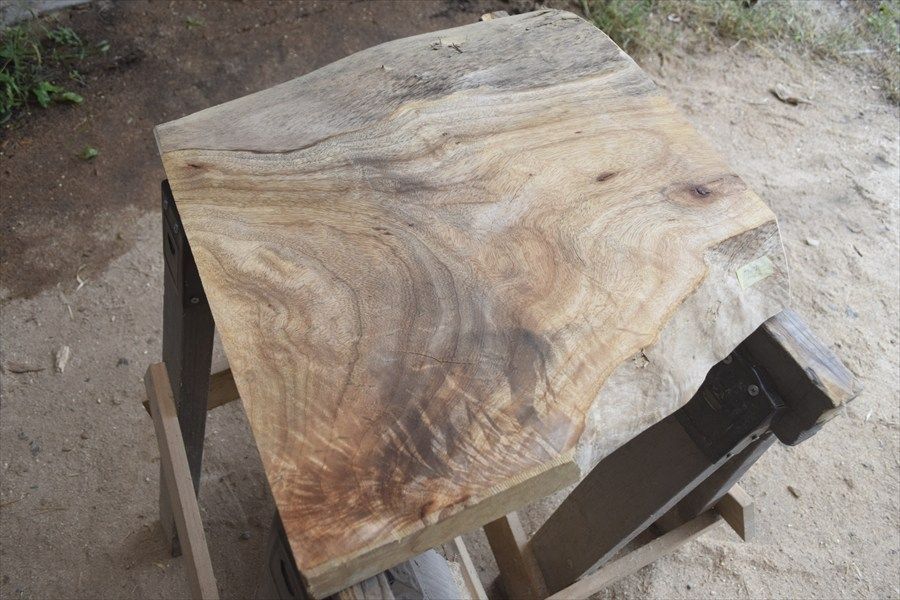 アウトレット クス(樟)の一枚板 長さ約47cm 幅約47～50cm 厚さ約5.9cm