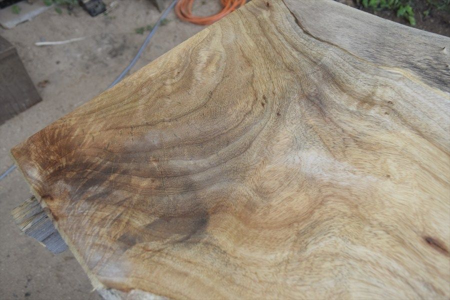 アウトレット クス(樟)の一枚板 長さ約47cm 幅約47～50cm 厚さ約5.9cm