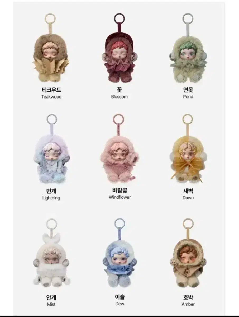 スカルパンダ 光のジョンウォン 定価以下 まとめ