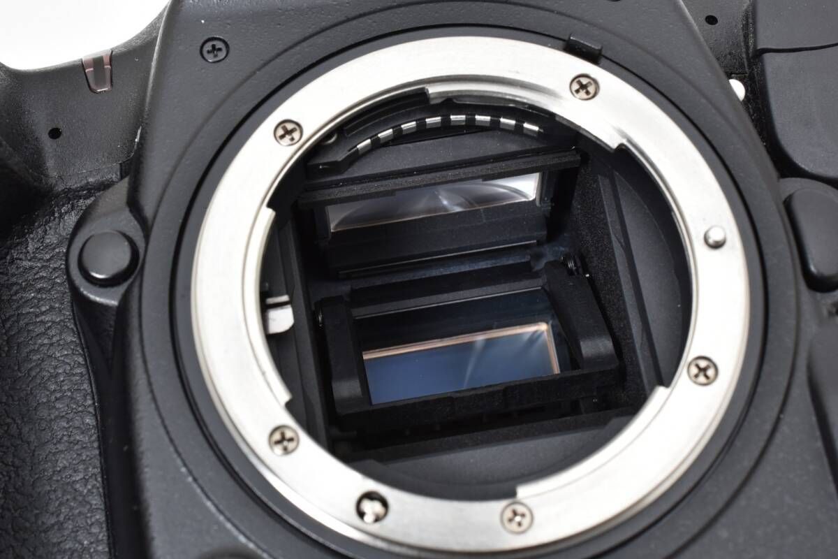 ☆極上品☆《ショット数4,288回 》ニコン NIKON D500 ボディ☆ YAM8899