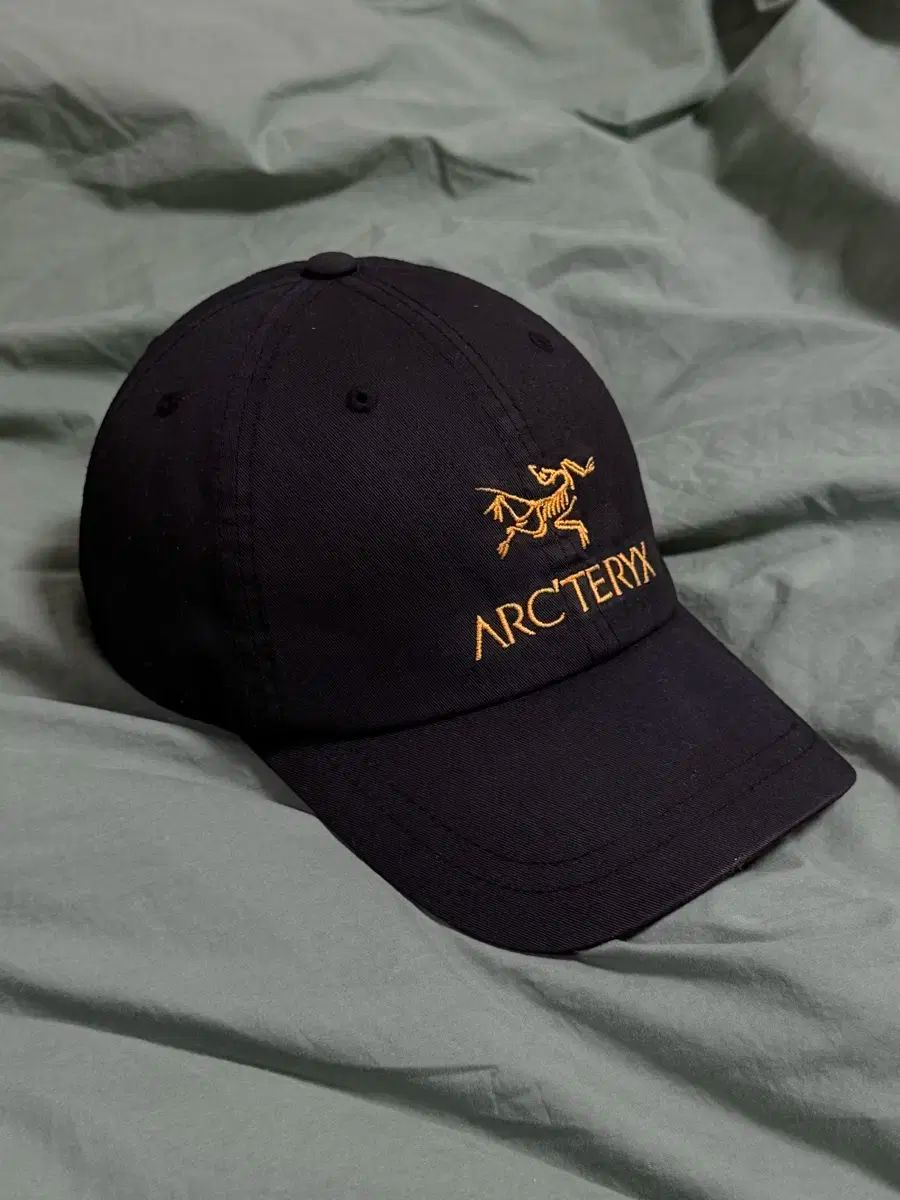 ARC TERYX アークテリクス PALACE パレス キャップ