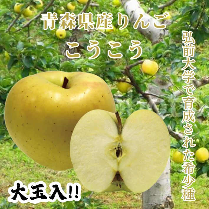 値引VAN、ボートハウス、コラボ陶器製食器セットコンプリート大変貴重！