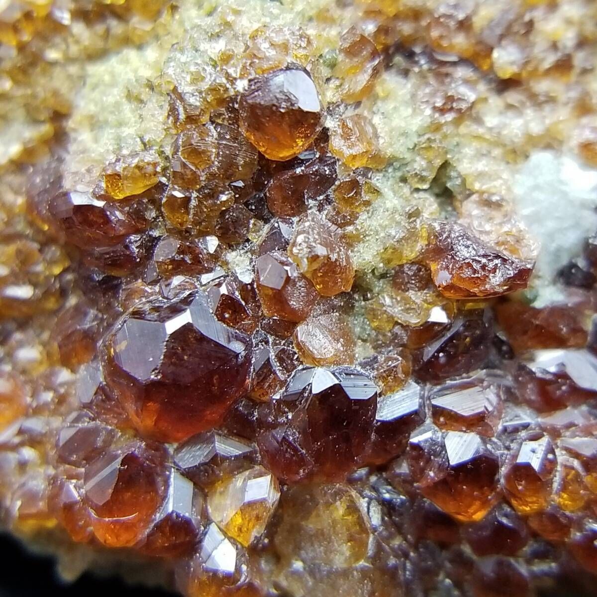 パキスタン産 ガーネット クリスタル クラスター 母岩付き 鉱物 原石 鉱石 標本 Garnet 18