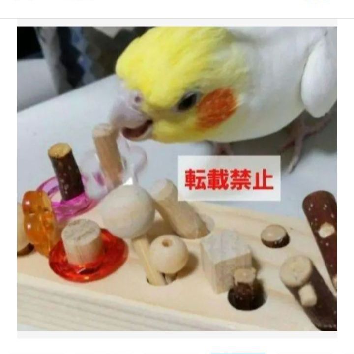 36 ⭐ フォージングトイセット⭐ 輪投げ 棒抜き バードトイ 文鳥