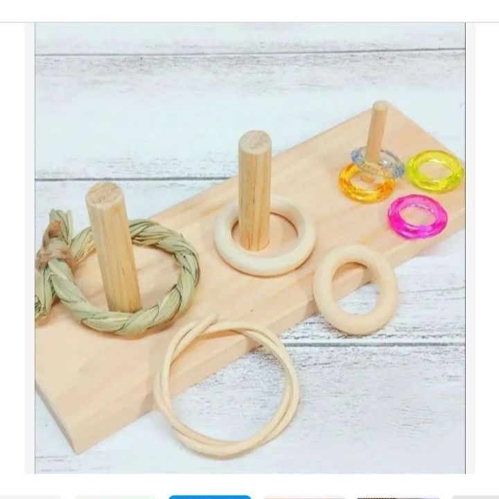 36 ⭐ フォージングトイセット⭐ 輪投げ 棒抜き バードトイ 文鳥