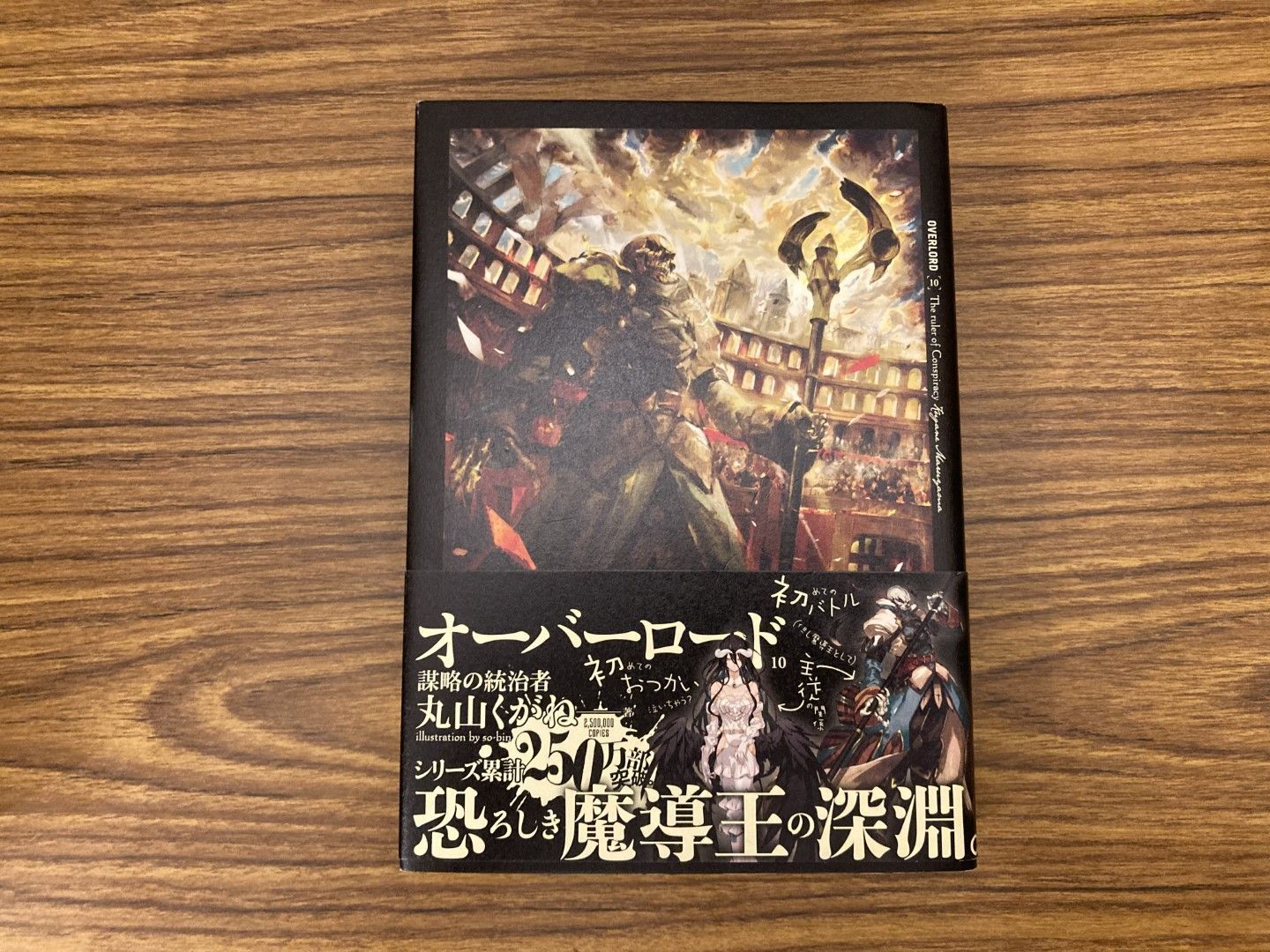 オーバーロード サイン本 丸山くがね so-bin オーバーロード サイン本 丸山くがね so-bin 【公式通販】