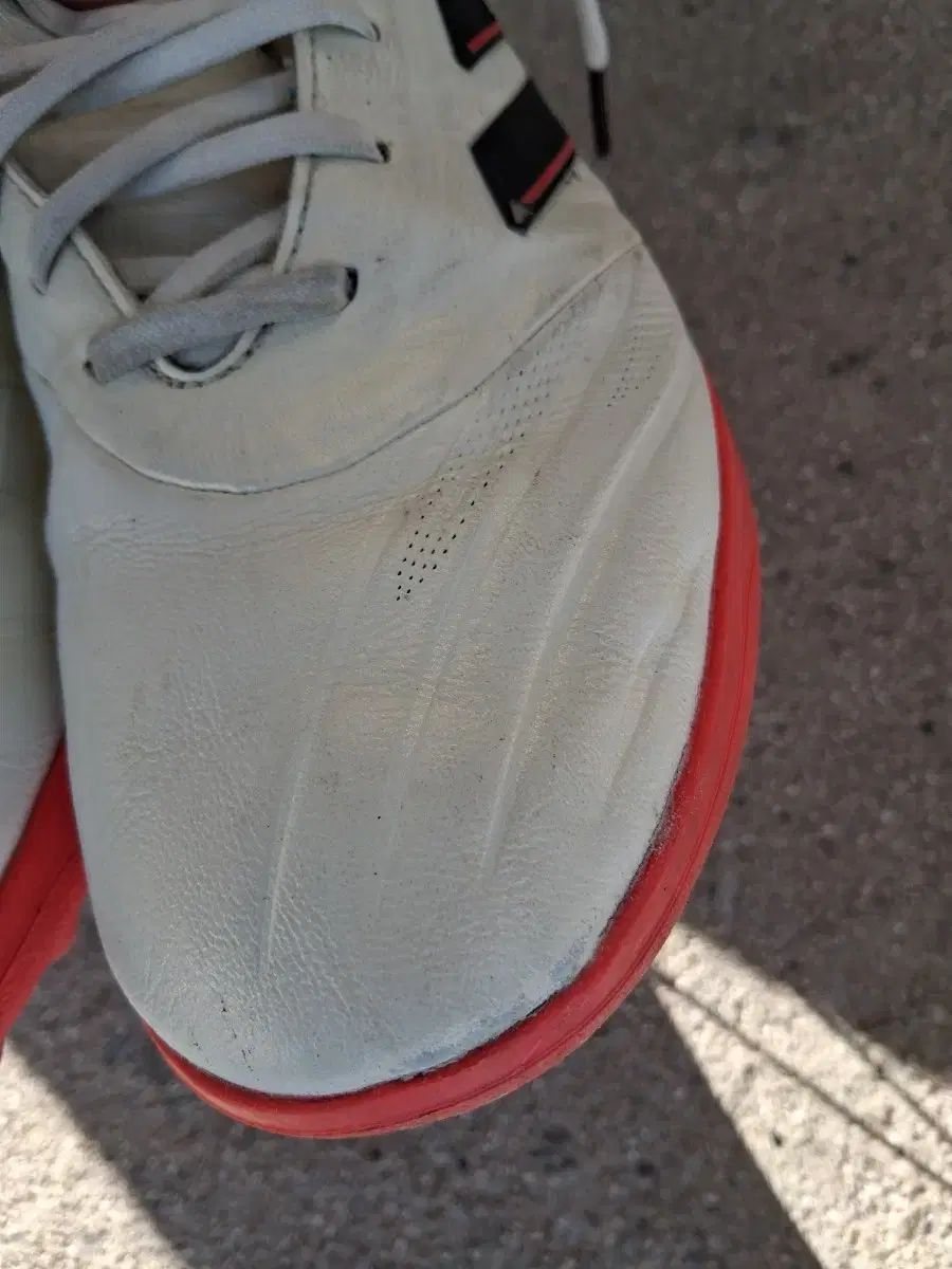  アディダス サッカーシューズ フットサルシューズ 250 tf フットサルシューズ シューズ