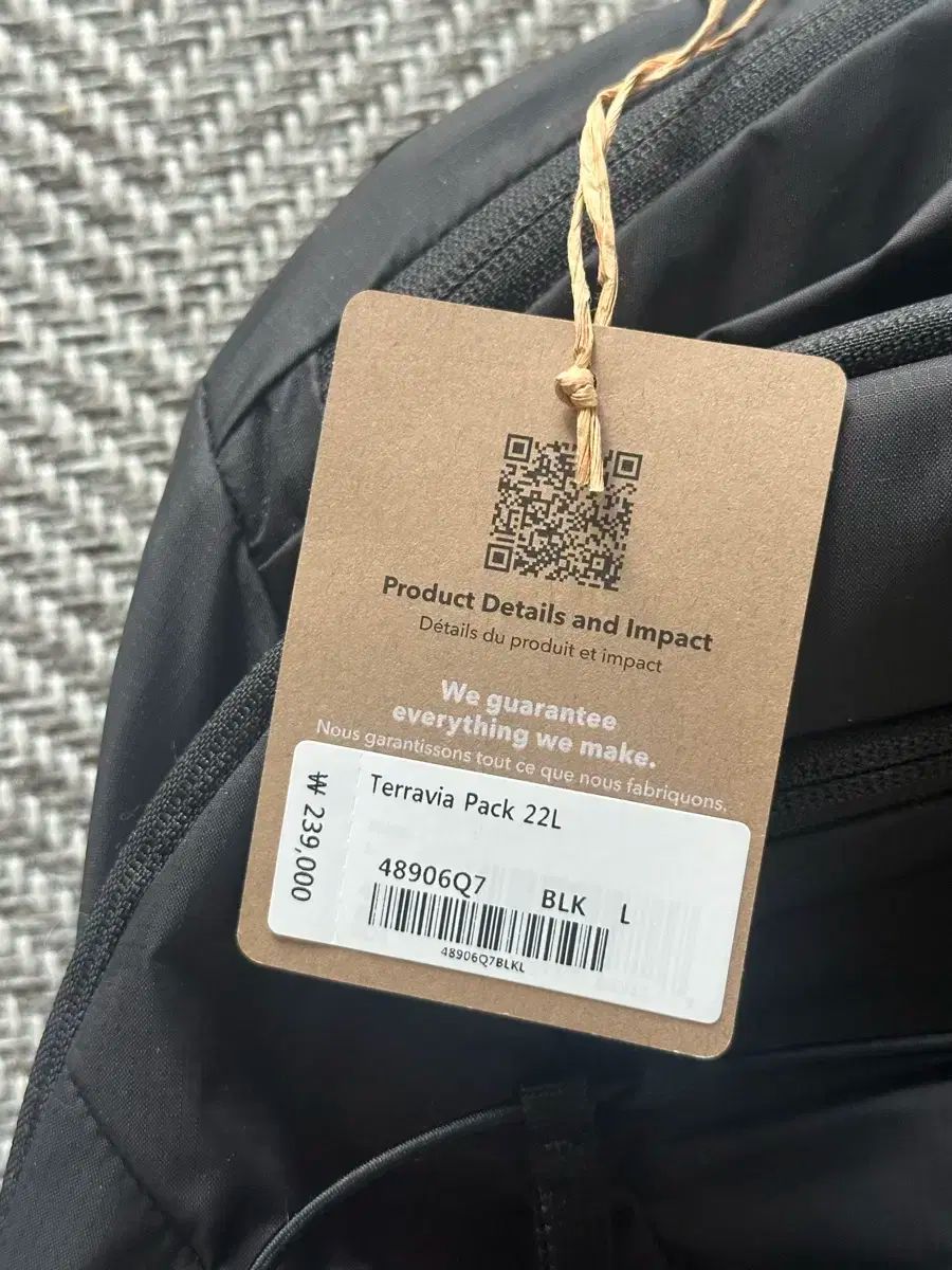 patagonia パタゴニア テラビア 22L ブラック バックパック ラージ