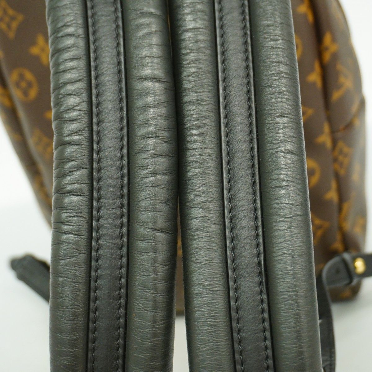 パームスプリングスバックパックPM M41560