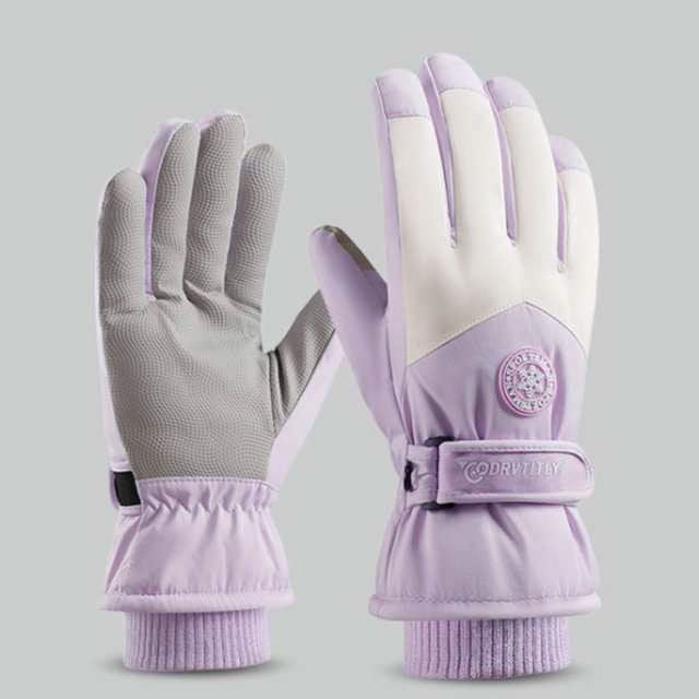 グローブ 5本指 スキー手袋 スキーグローブ スノボ レディース スマホ