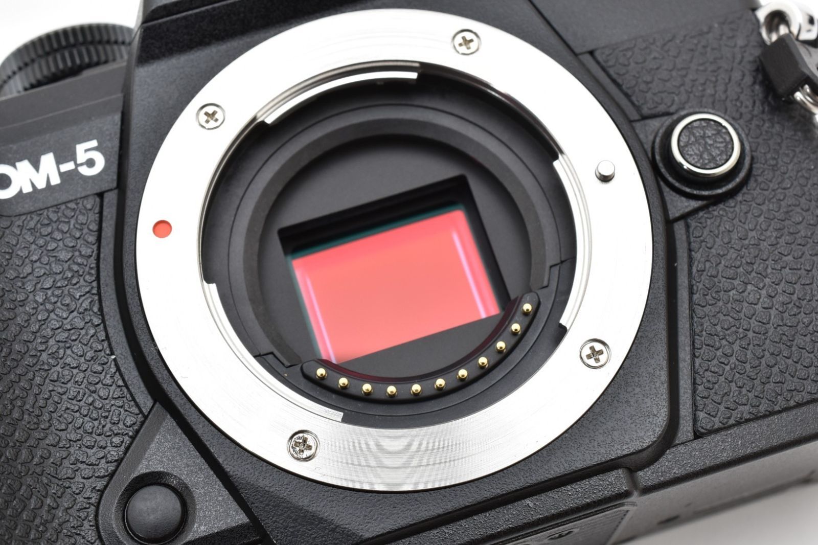 チャージャー付