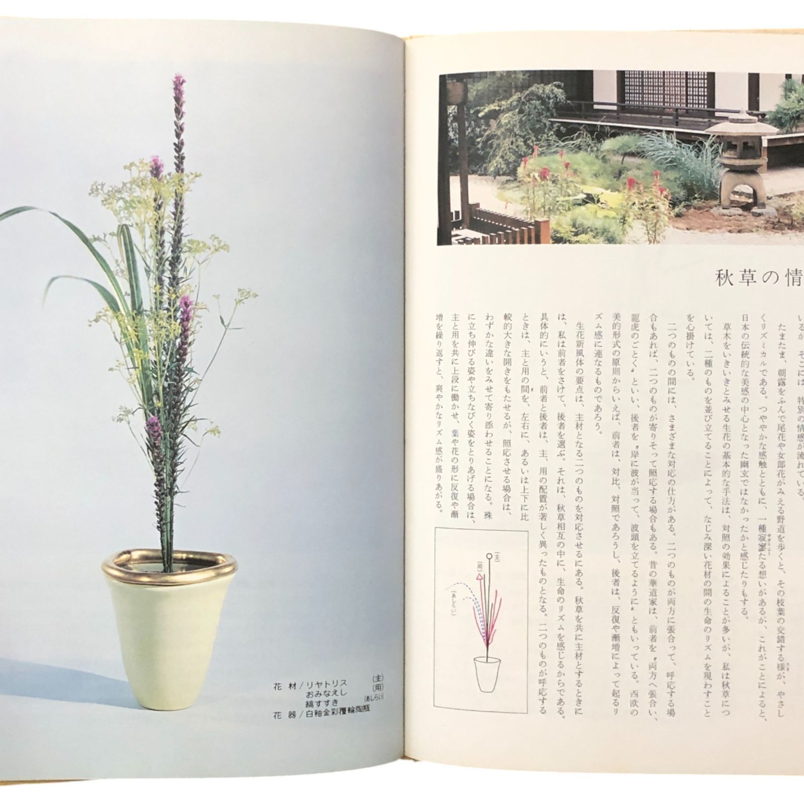 池坊専永挿花集 第1・2集 生花新風体 夏・秋/冬・春 著者：池坊専永