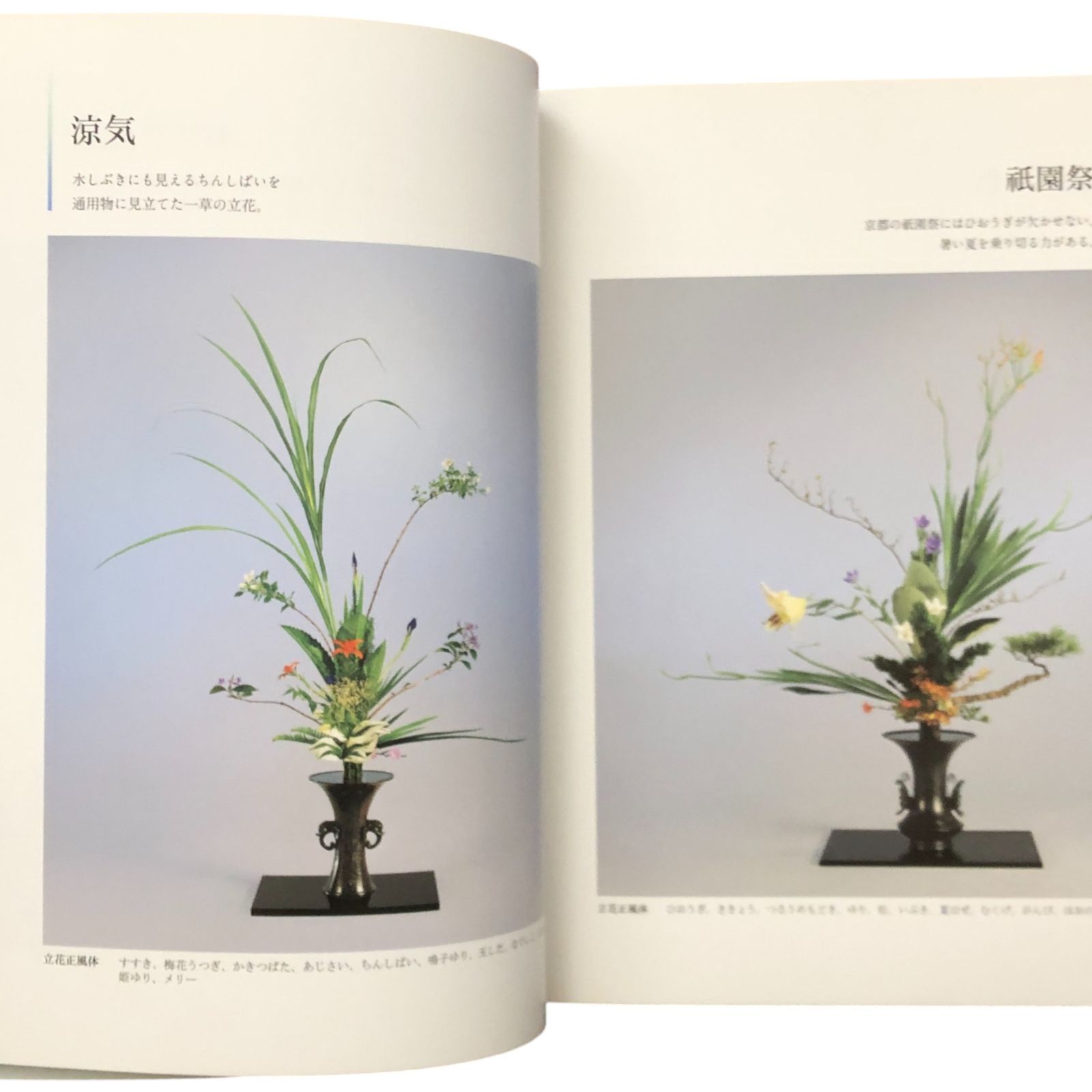 池坊いけばな作品集 花時分?天と地の花? 監修：池坊専永／著：小林春荘