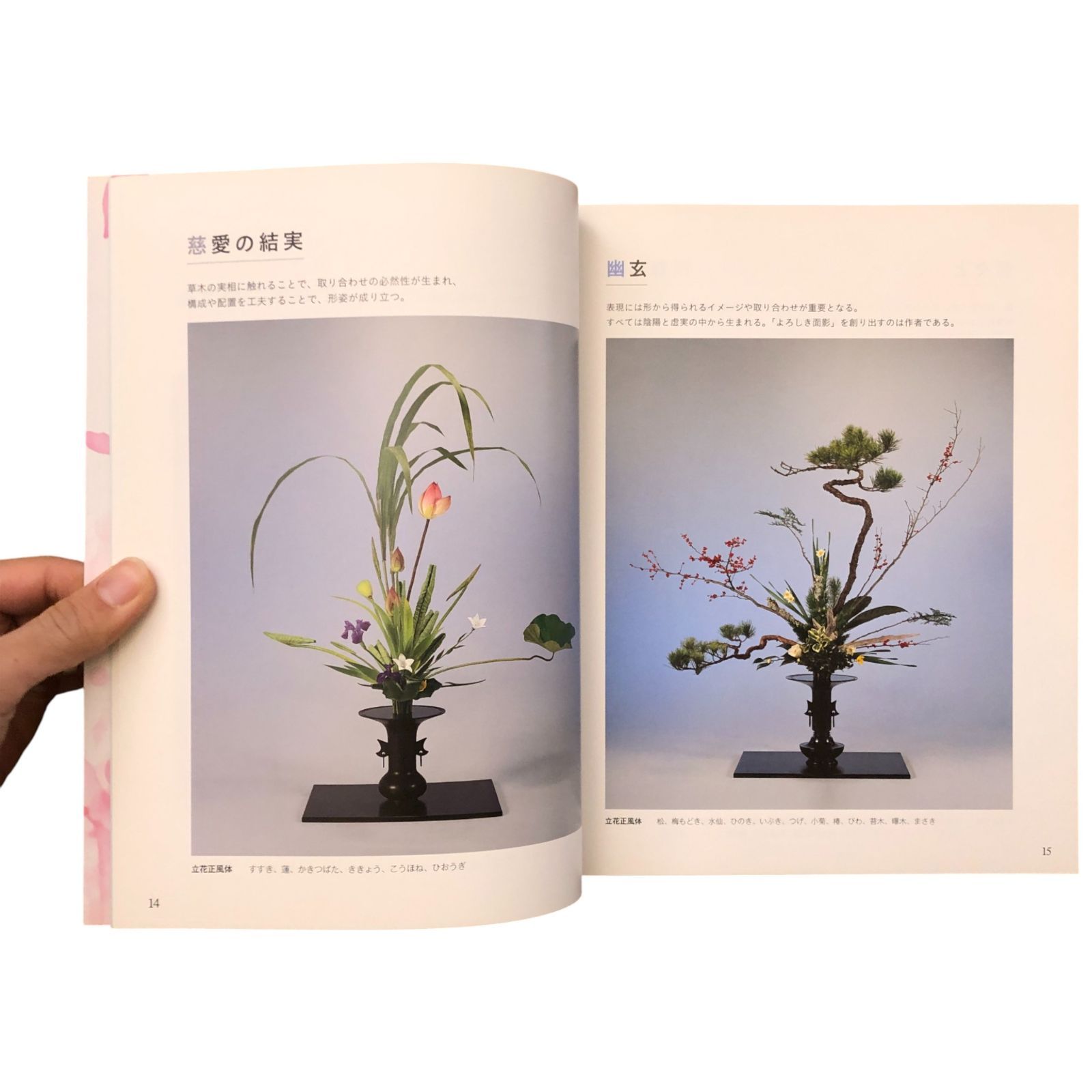 池坊いけばな作品集 花に恋して 監修：池坊専永／著：中村福宏 日本