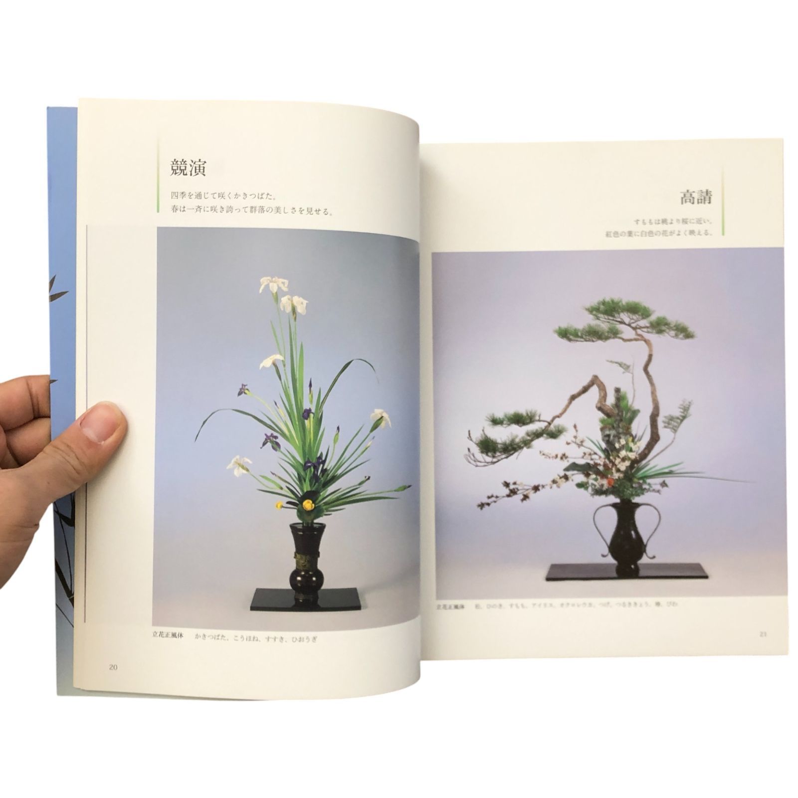 池坊いけばな作品集 花時分?天と地の花? 監修：池坊専永／著：小林春荘