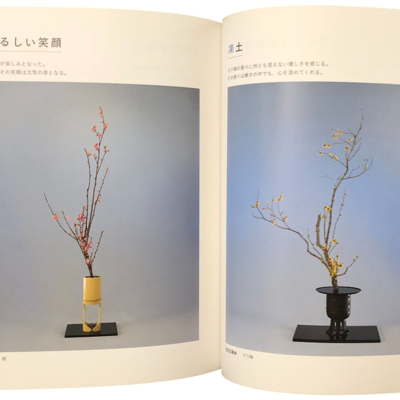 池坊専永撰　池坊専好立花名作集　図録/解説　２冊函入　日本華道社　華道/生花 池坊いけばな作品集 花に恋して 監修：池坊専永／著：中村福宏 日本