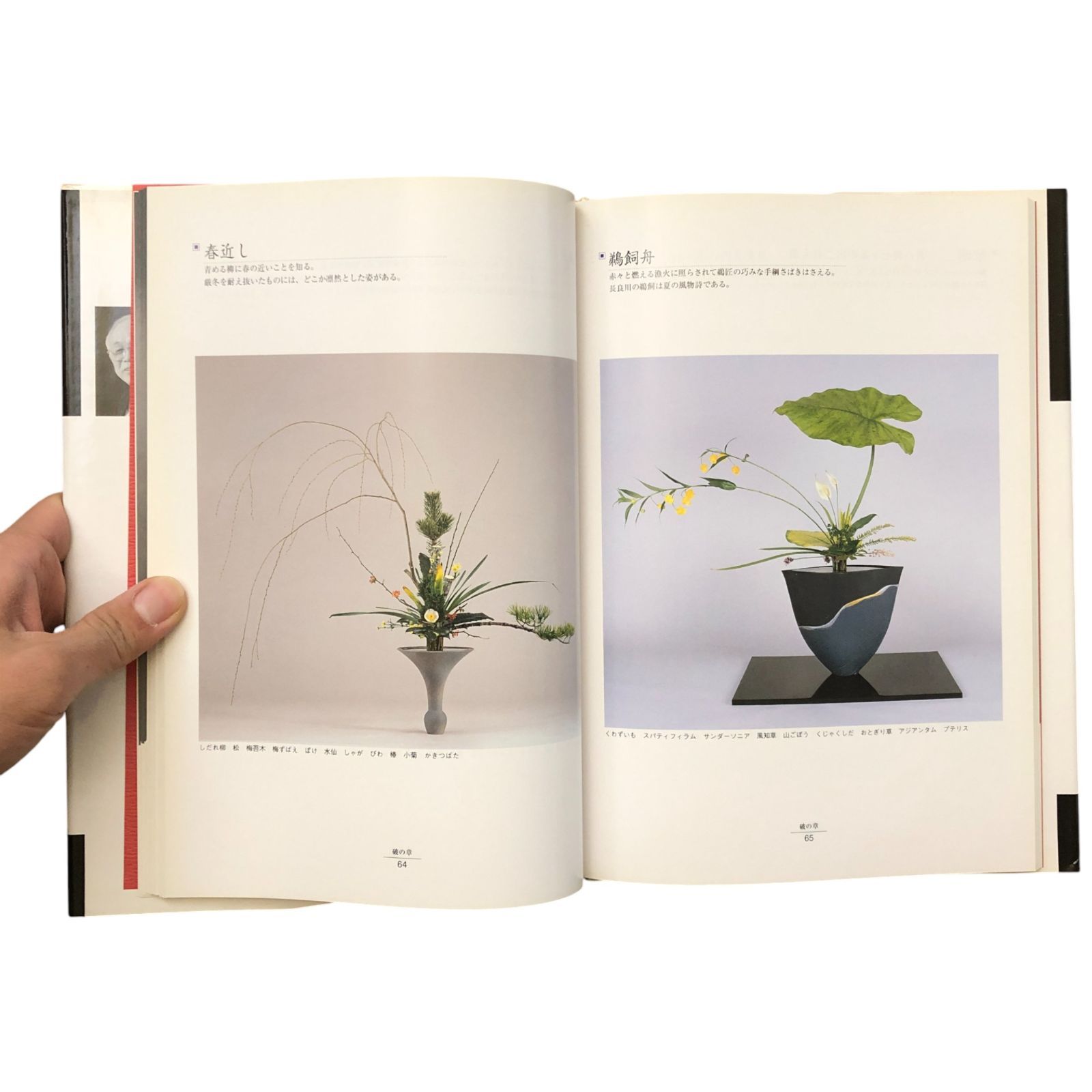 守破離 柴田英雄立華作品集 監修：池坊専永／著：柴田英雄 日本華道社