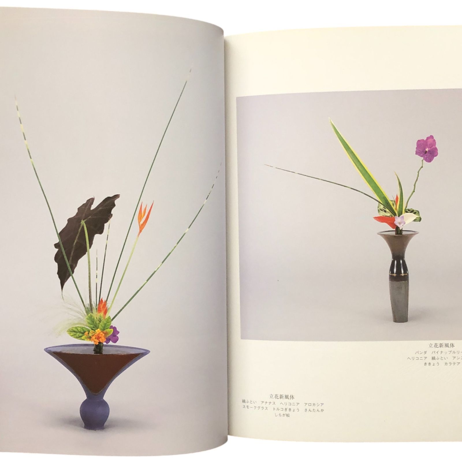 池坊いけばな作品集 花雫 監修：池坊専永／著：古川守彦 日本華道社