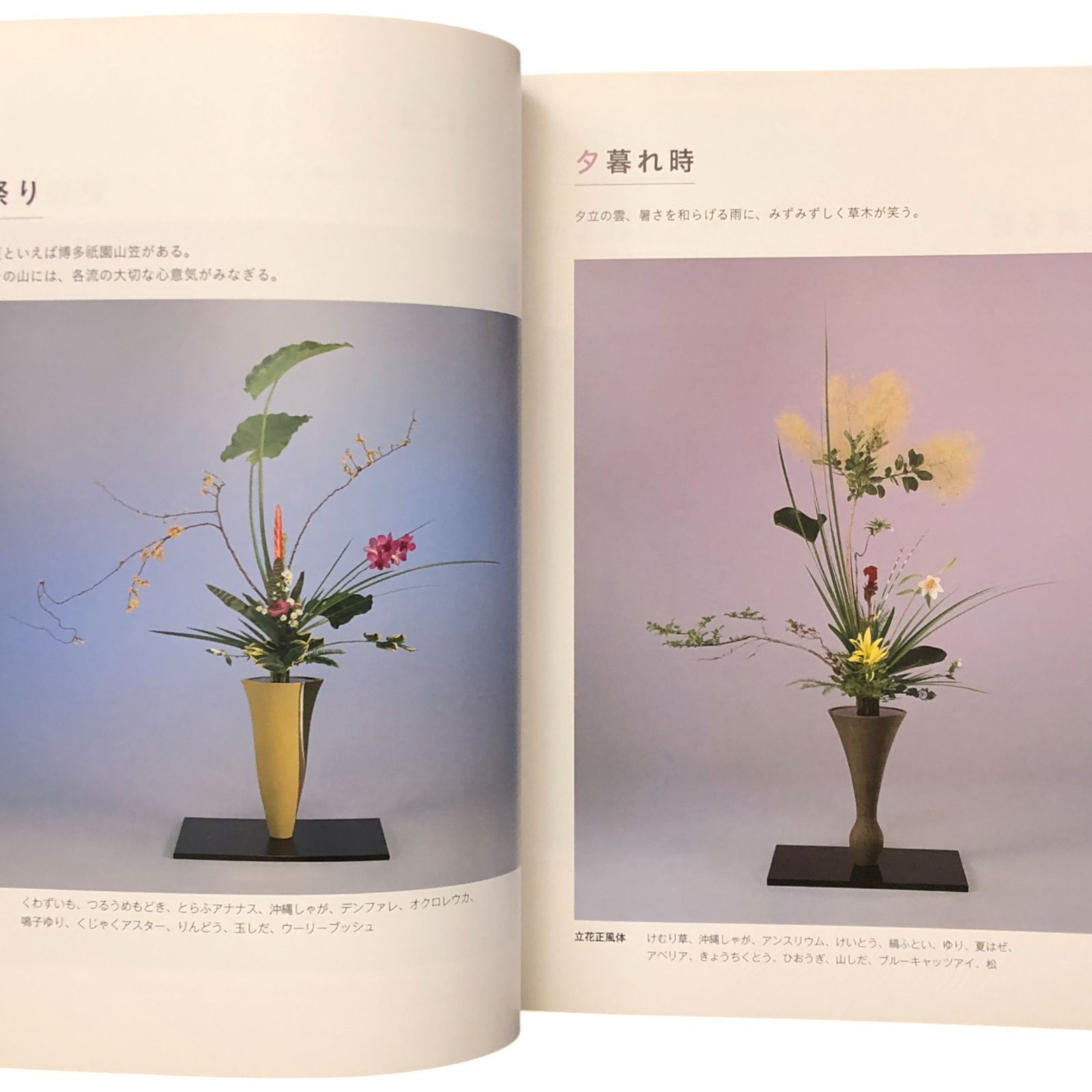 池坊いけばな作品集 花に恋して 監修：池坊専永／著：中村福宏 日本