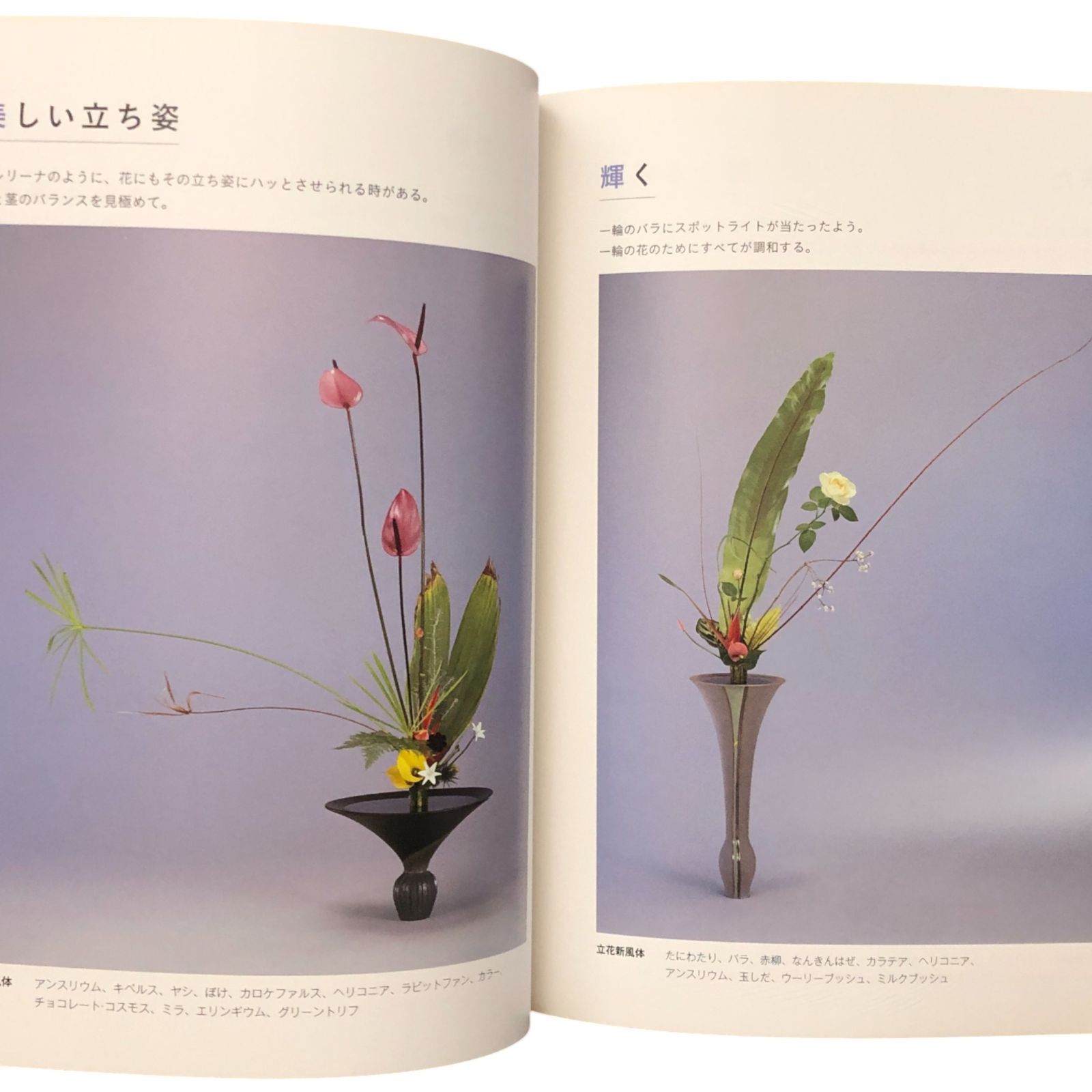 池坊いけばな作品集 花に恋して 監修：池坊専永／著：中村福宏 日本