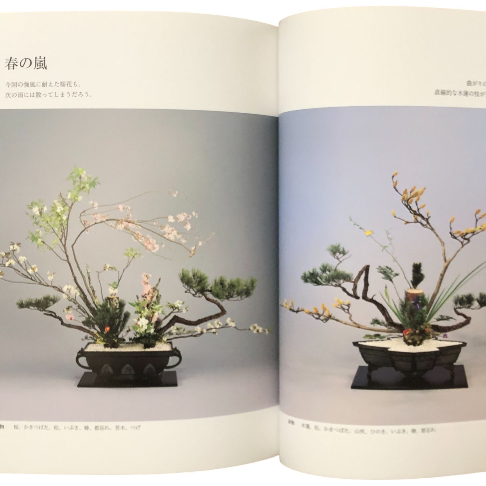 池坊いけばな作品集 花時分?天と地の花? 監修：池坊専永／著：小林春荘