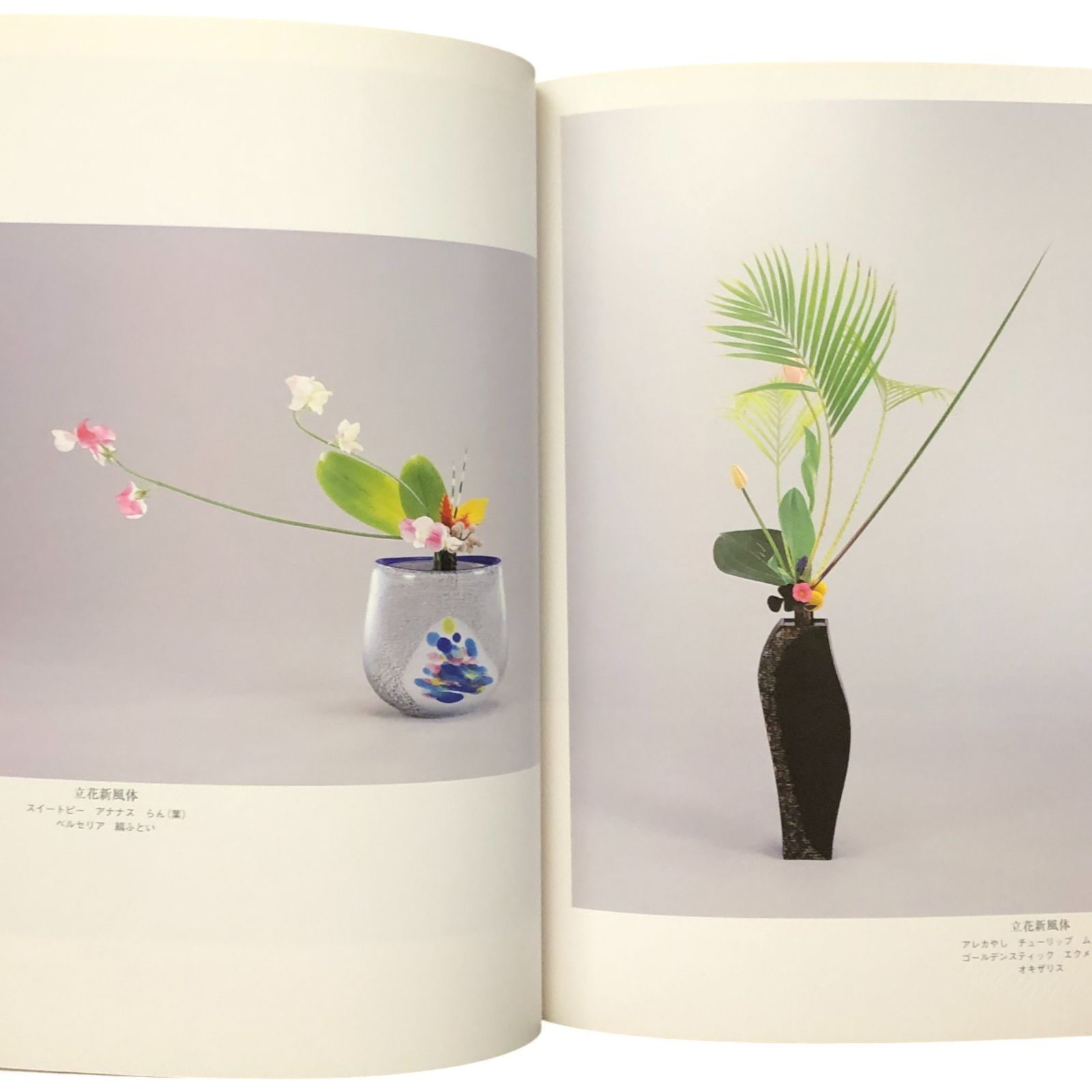 池坊いけばな作品集 花雫 監修：池坊専永／著：古川守彦 日本華道社