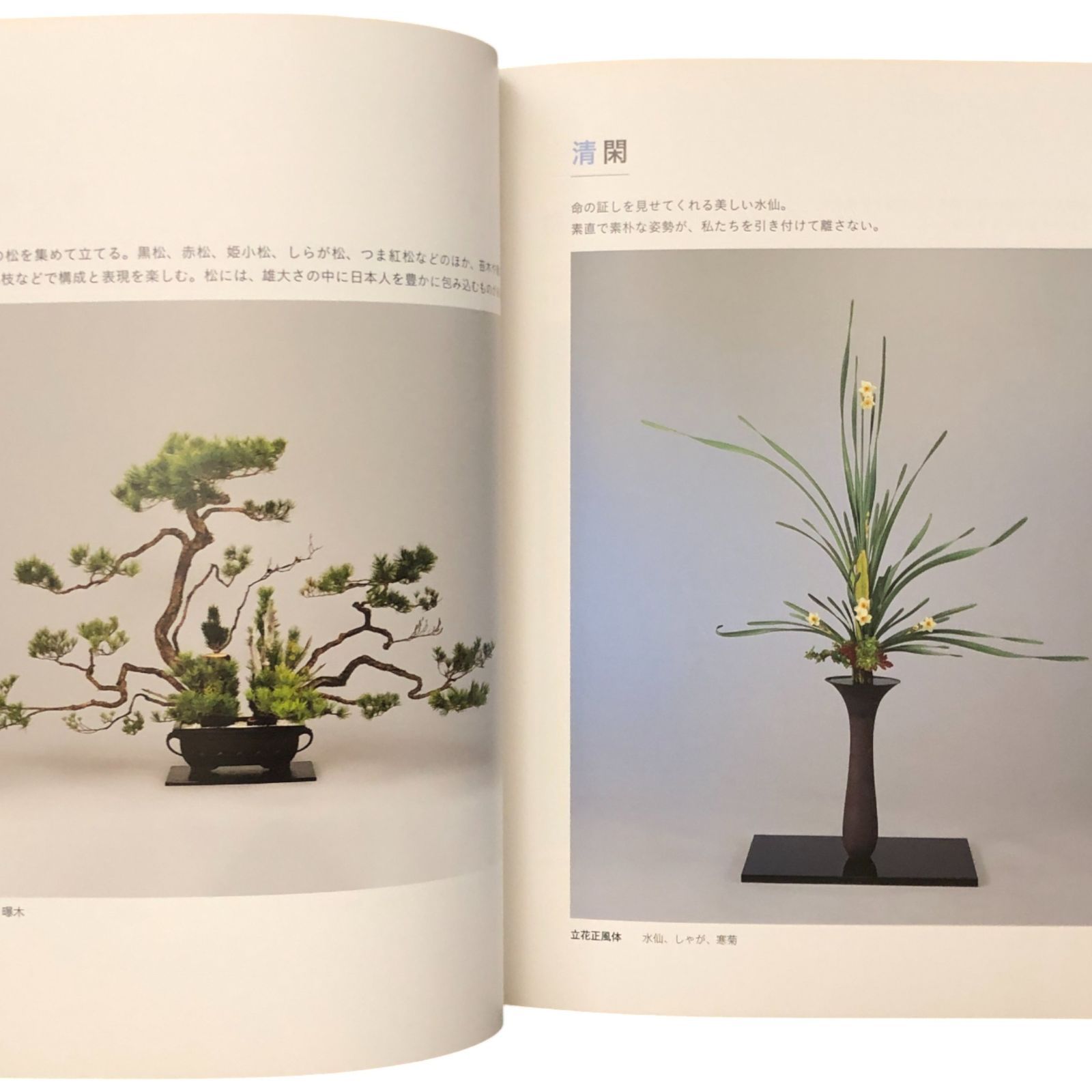 池坊いけばな作品集 花に恋して 監修：池坊専永／著：中村福宏 日本