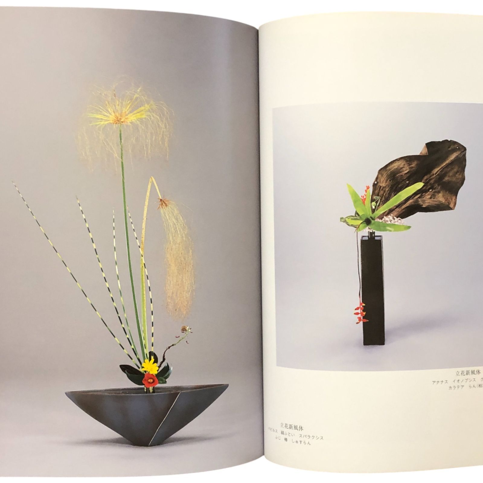 池坊いけばな作品集 花雫 監修：池坊専永／著：古川守彦 日本華道社