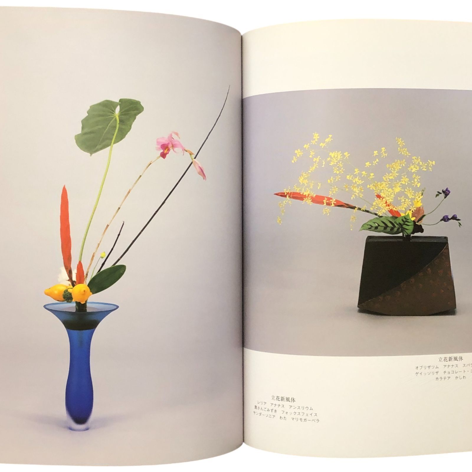 池坊いけばな作品集 花雫 監修：池坊専永／著：古川守彦 日本華道社