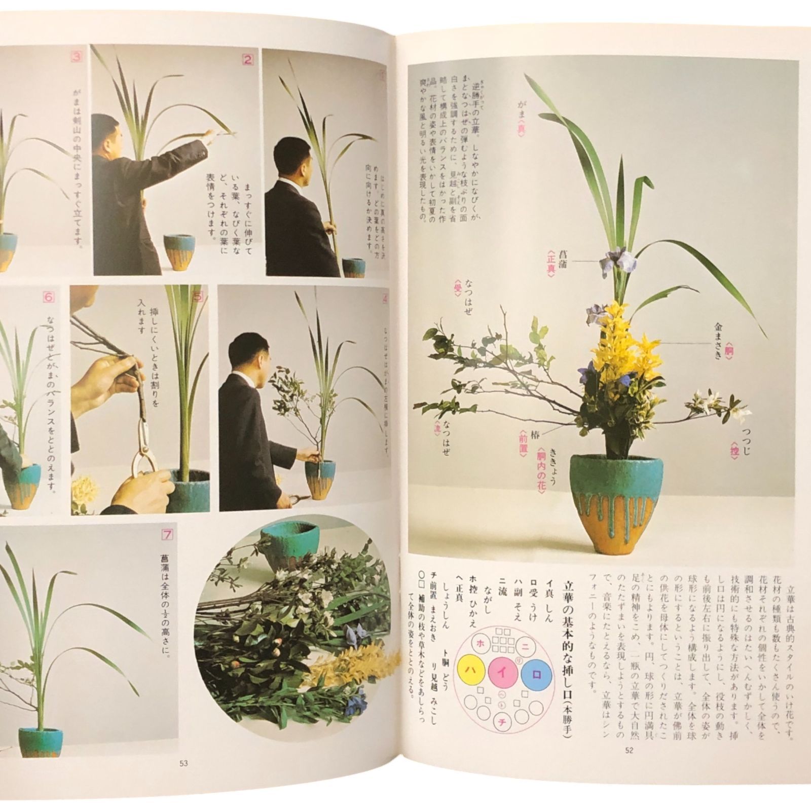 いけ花入門（マイライフシリーズ35） 著者：池坊専永 グラフ社