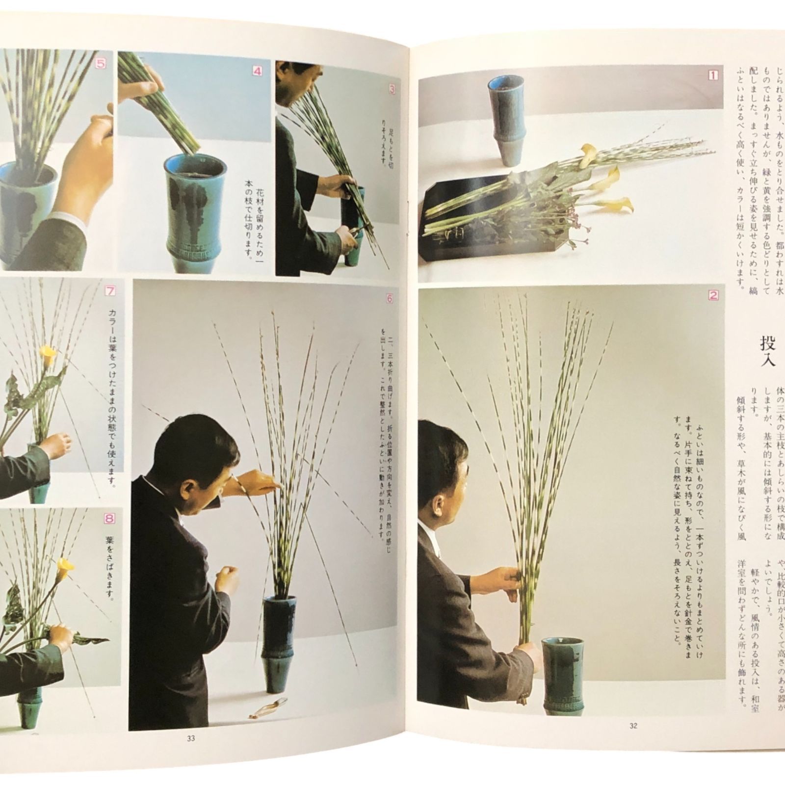 いけ花入門（マイライフシリーズ35） 著者：池坊専永 グラフ社