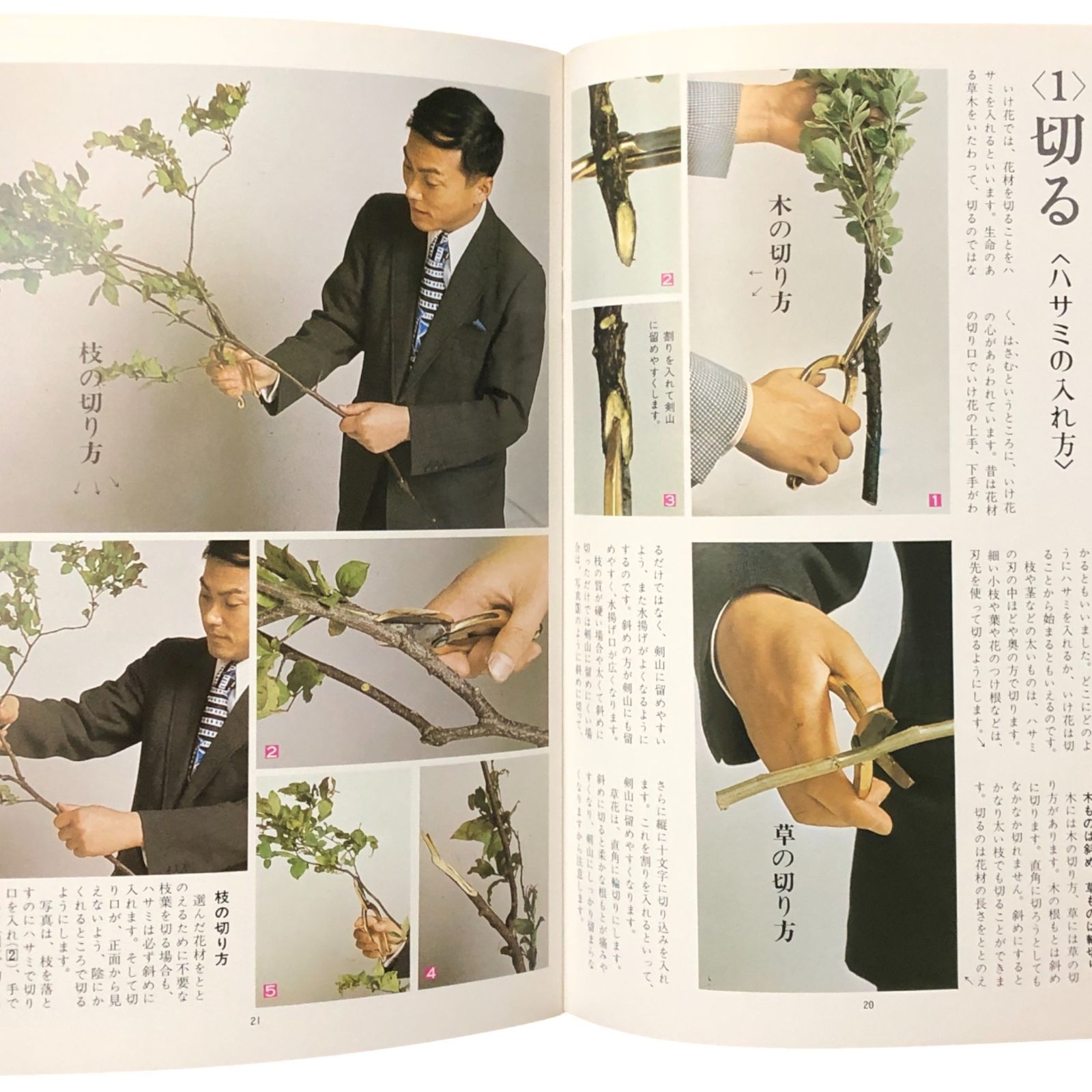 いけ花入門（マイライフシリーズ35） 著者：池坊専永 グラフ社