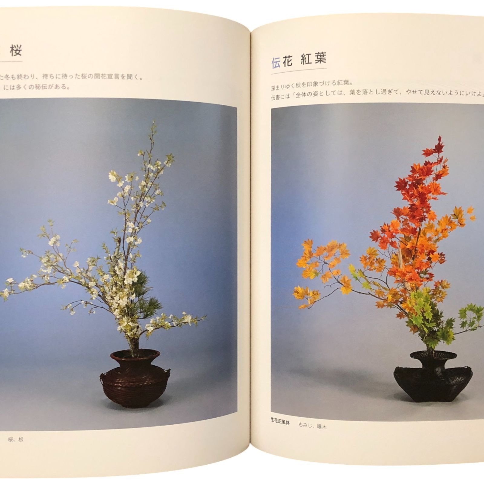 池坊いけばな作品集 花に恋して 監修：池坊専永／著：中村福宏 日本