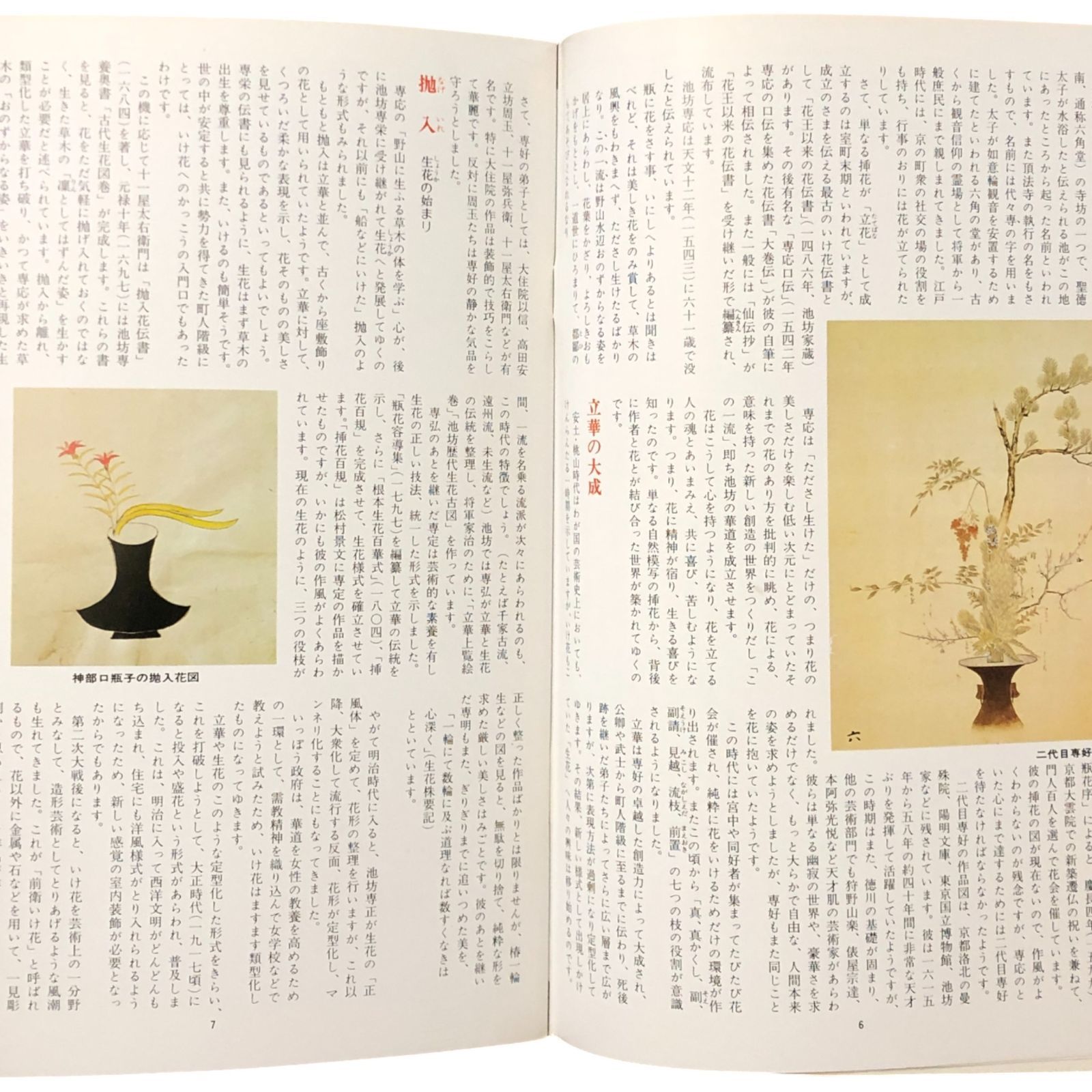 いけ花入門（マイライフシリーズ35） 著者：池坊専永 グラフ社