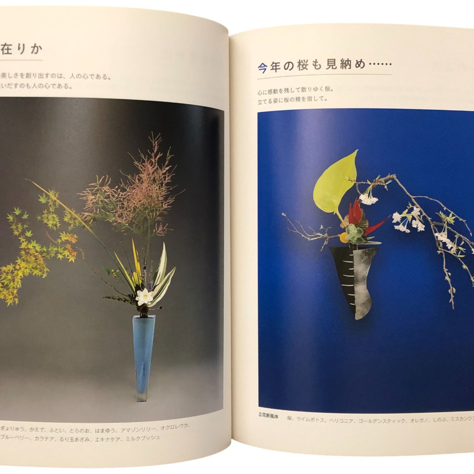 池坊いけばな作品集 花に恋して 監修：池坊専永／著：中村福宏 日本