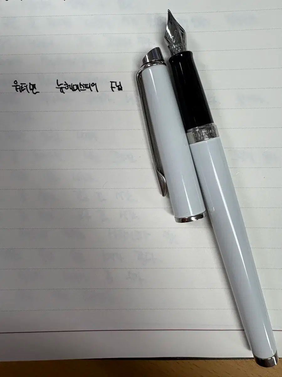 ウォーターマン ニューヘミスフィア 万年筆 F